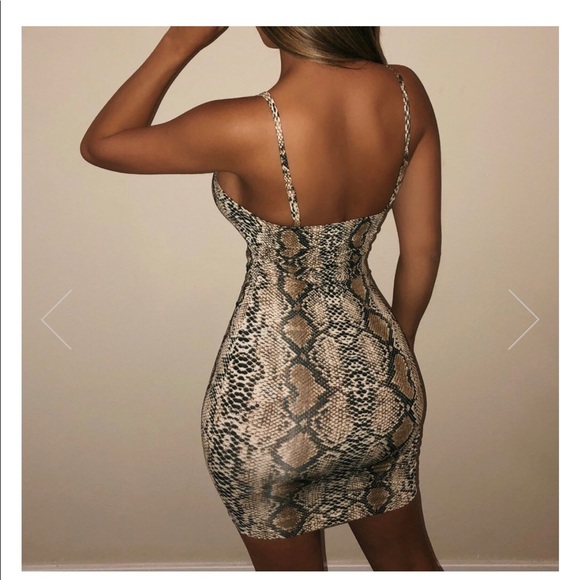 OOTDfash snakeprint dress - Picture 2 of 3